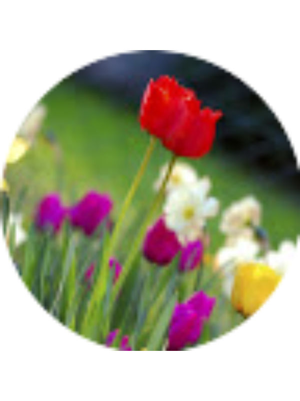 Photo of Lillian Vodicka [STUDENT]