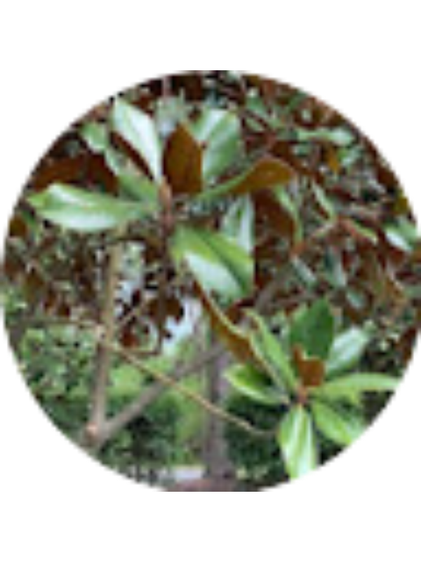 Photo of Peter & Esun Baek