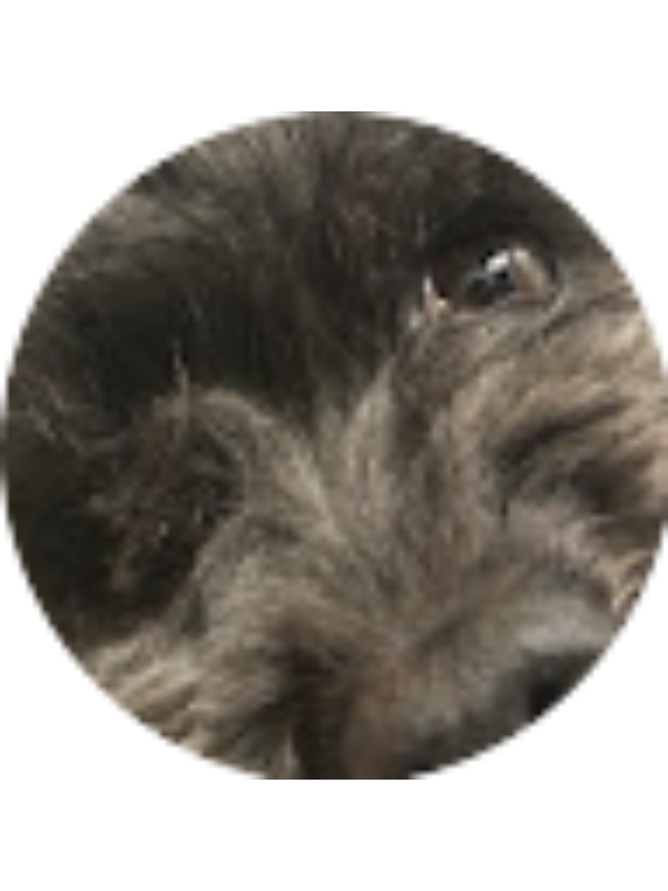 Photo of Laila Manning [STUDENT]