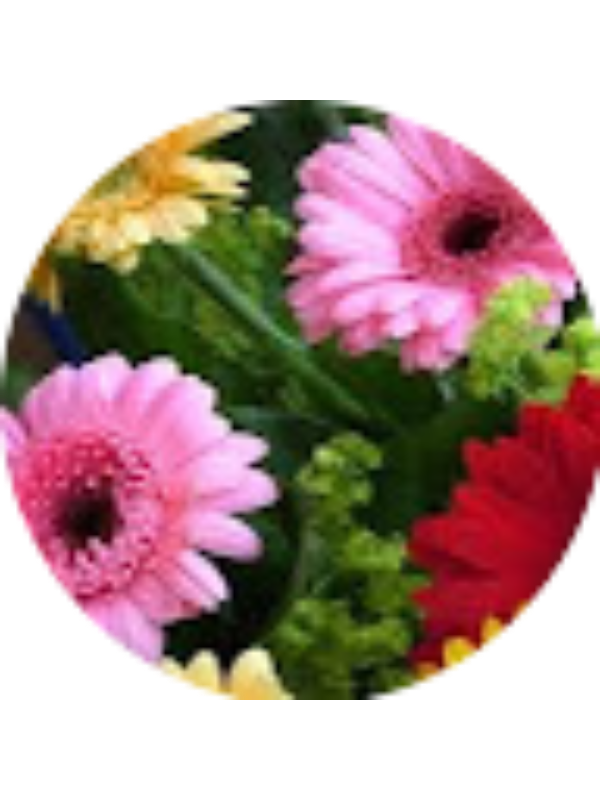 Photo of Analia Venegoni