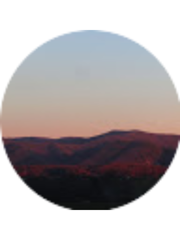 Photo of Nicole Zapertova