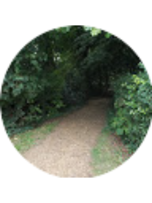 Photo of Lisa Berry-Koeppen