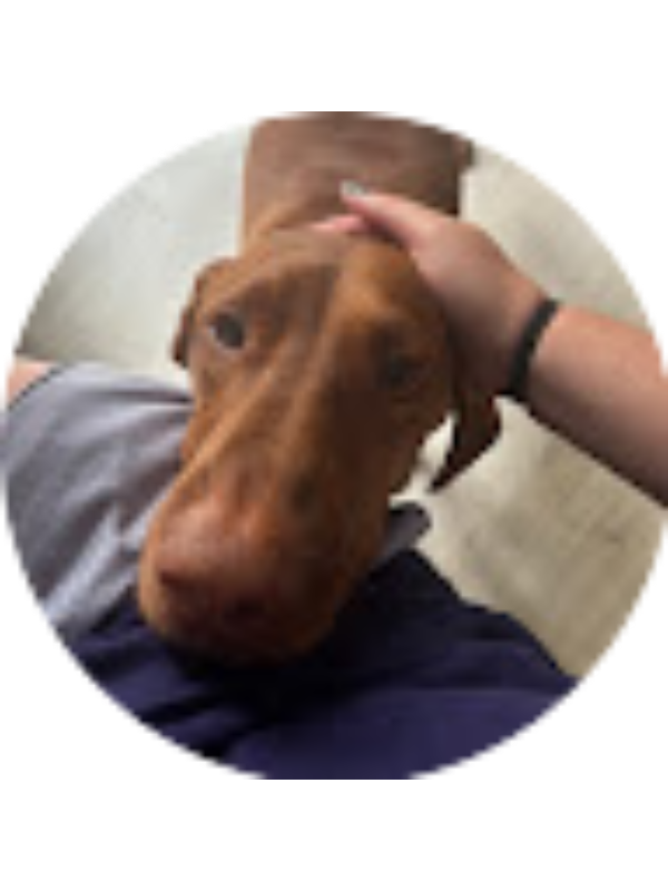 Photo of Sage Elizabeth