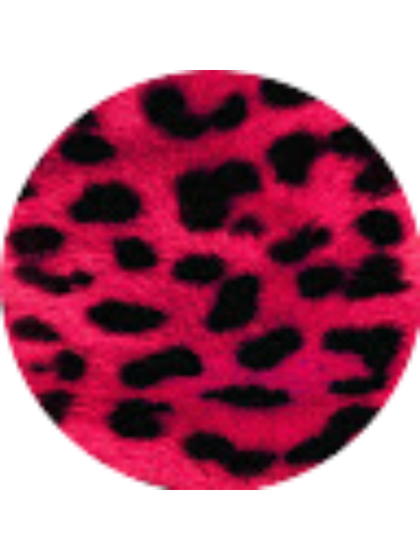 Photo of Kai Patterson