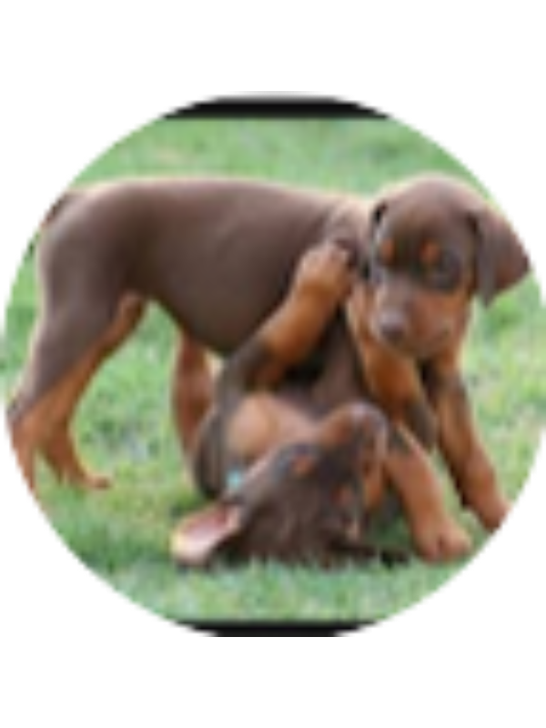 Photo of Jackson Pickett (student)