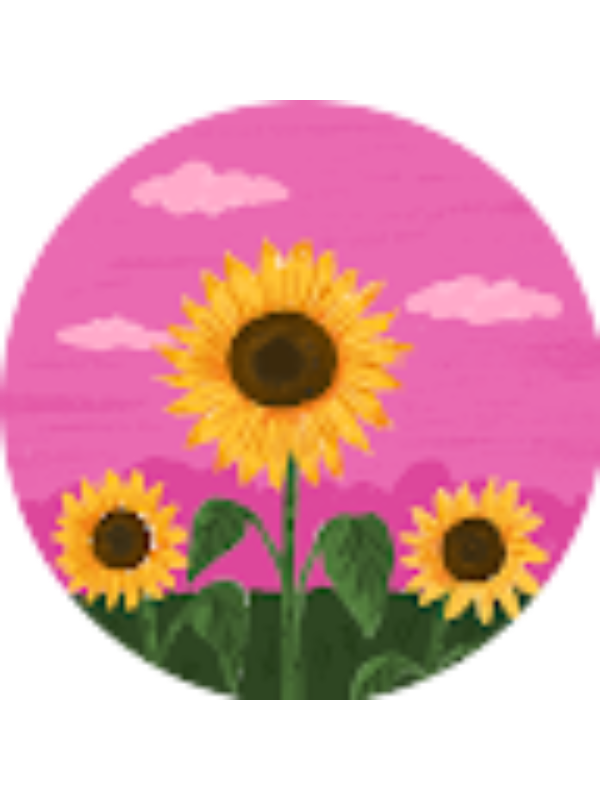 Photo of Joana Monteiro Carri�o .