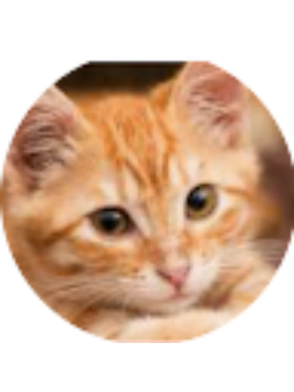 Photo of Wyatt Epple