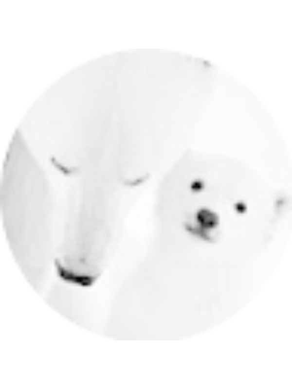 Photo of Savannah Bloomquist