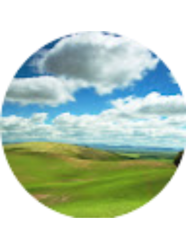 Photo of Grant Markussen