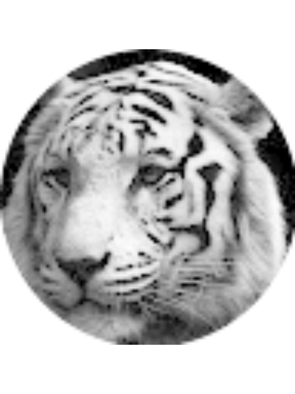 Photo of sidhuangad21