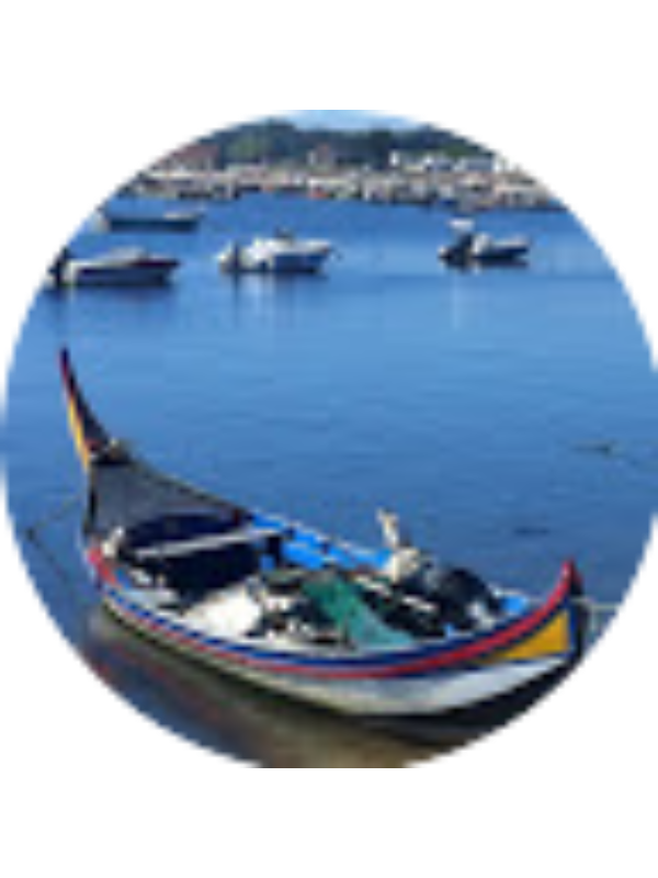 Photo of Gra&ccedil;a Pinho