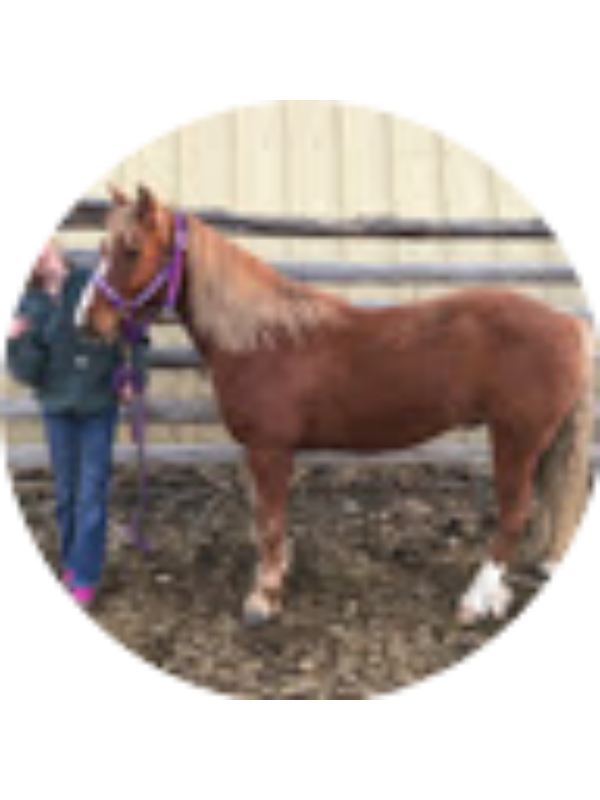 Photo of Deborah Gullion