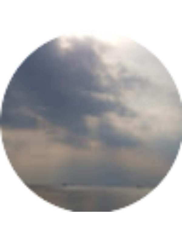 Photo of ELENI ILIADOY