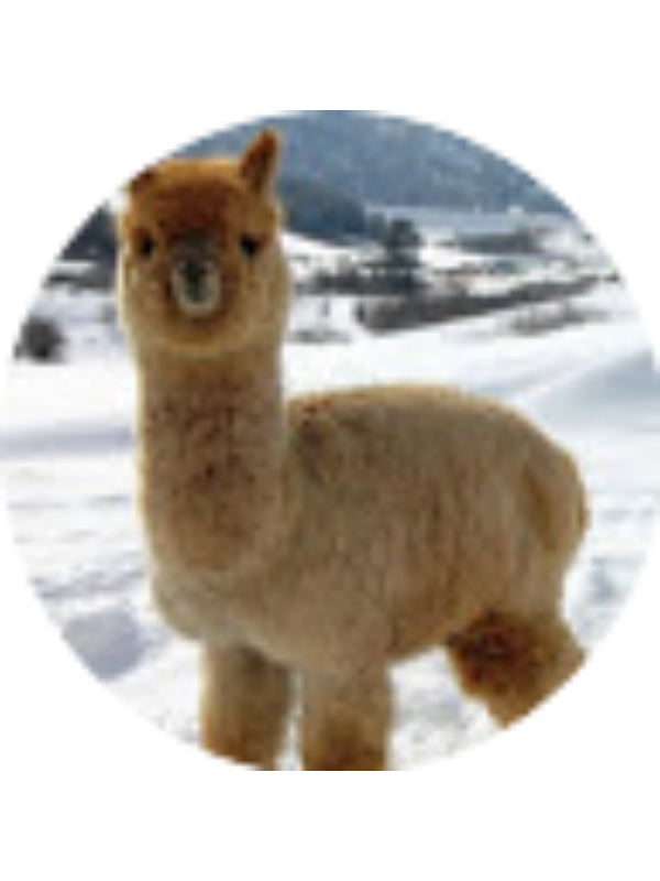 Photo of Braelyn Hobson