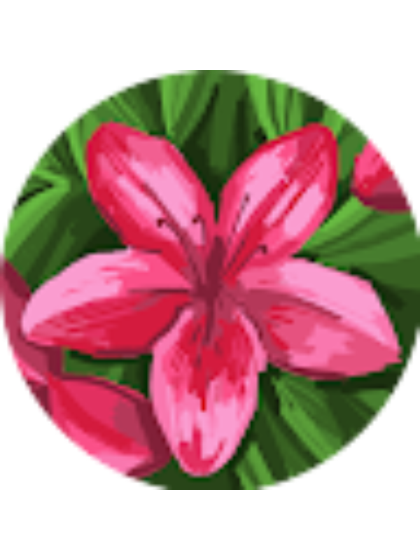 Photo of Milica Djurkovic _ Student - DavisDrive