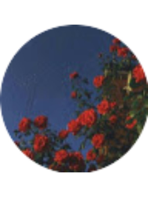 Photo of Rubio Rojas Natalia Salomé