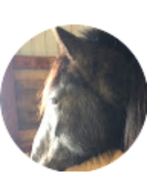 Photo of Kaleb Fornetti