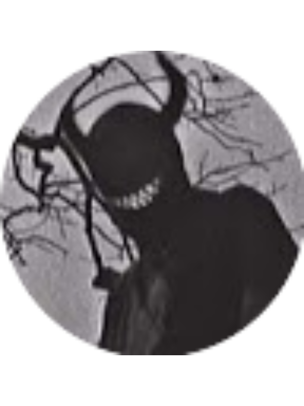 Photo of Nicon Marinuta