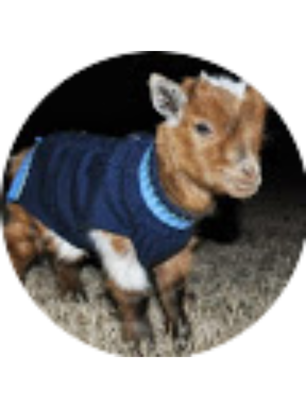 Photo of Maxwell Abell