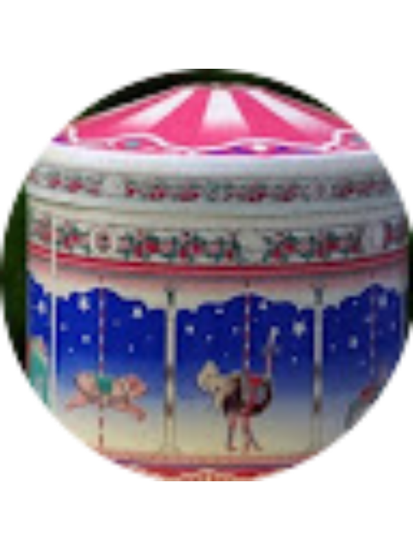 Photo of Fatmag&uuml;l SARIOĞLU