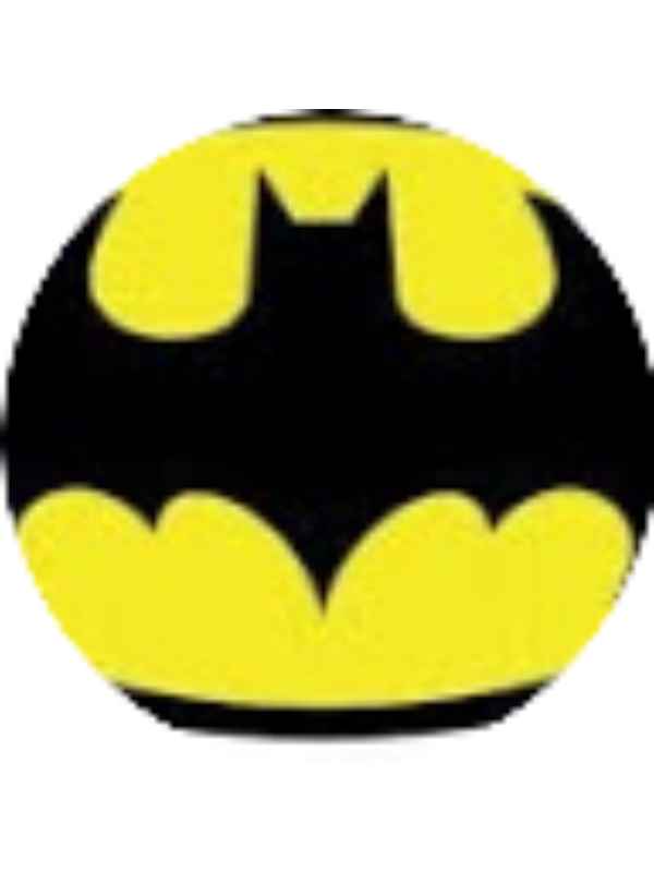 Photo of ROBERT JUSTICE