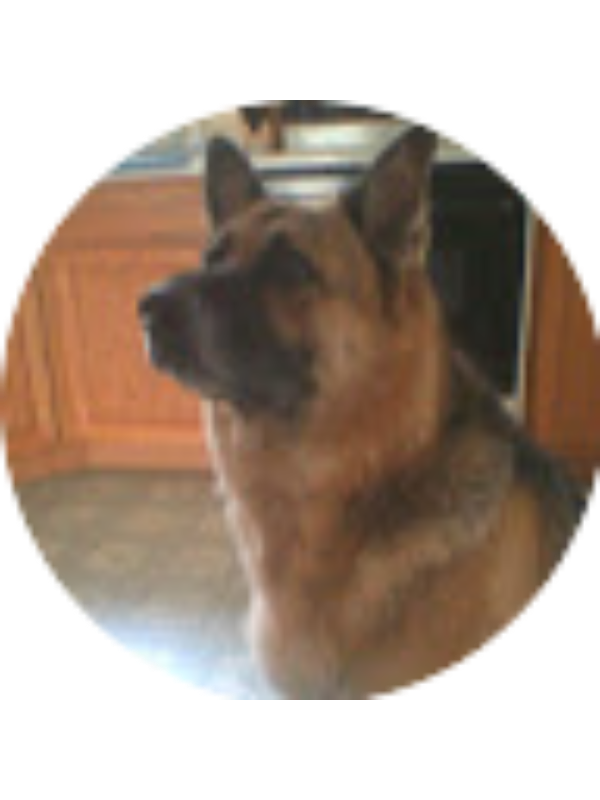 Photo of Emelia Hummel