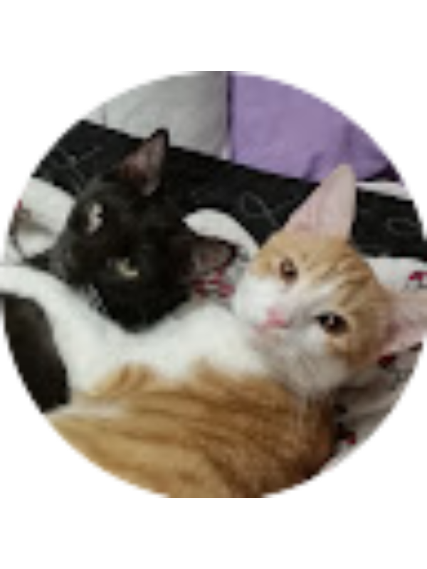 Photo of Isabella Sexton