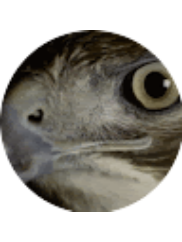 Photo of Marc Gonz&aacute;lez Valero