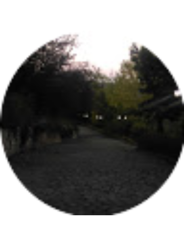 Photo of Ulku dilsad Sunar