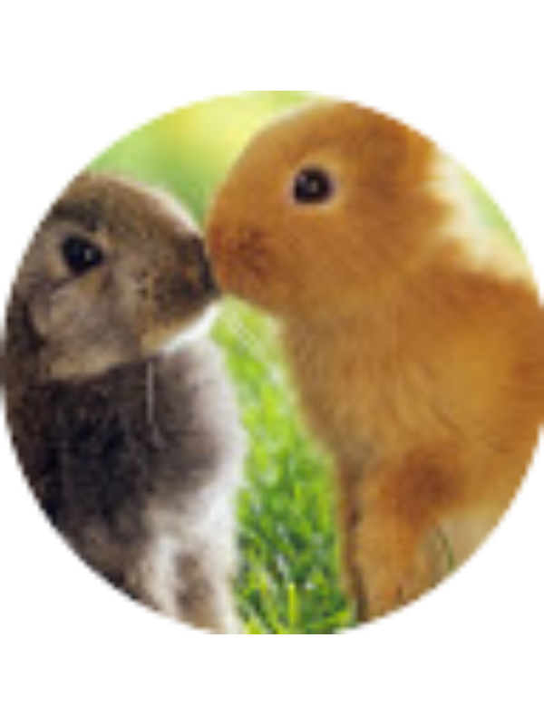 Photo of McKayla Anderson