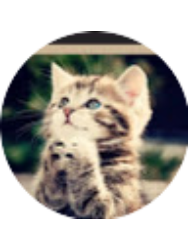 Photo of Angel Muniz