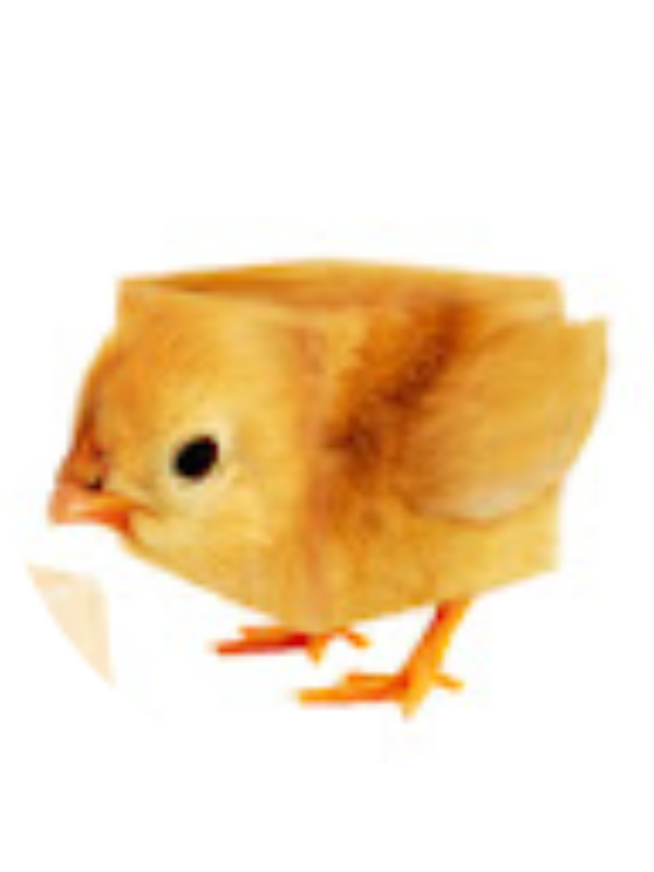 Photo of Mary Cooper