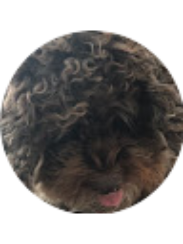 Photo of Angelina Pinochet