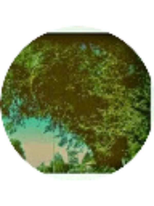 Photo of Matthew Riscoe