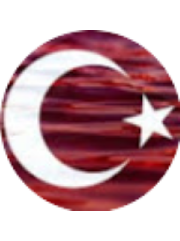 Photo of Egemert &Ouml;zdemir