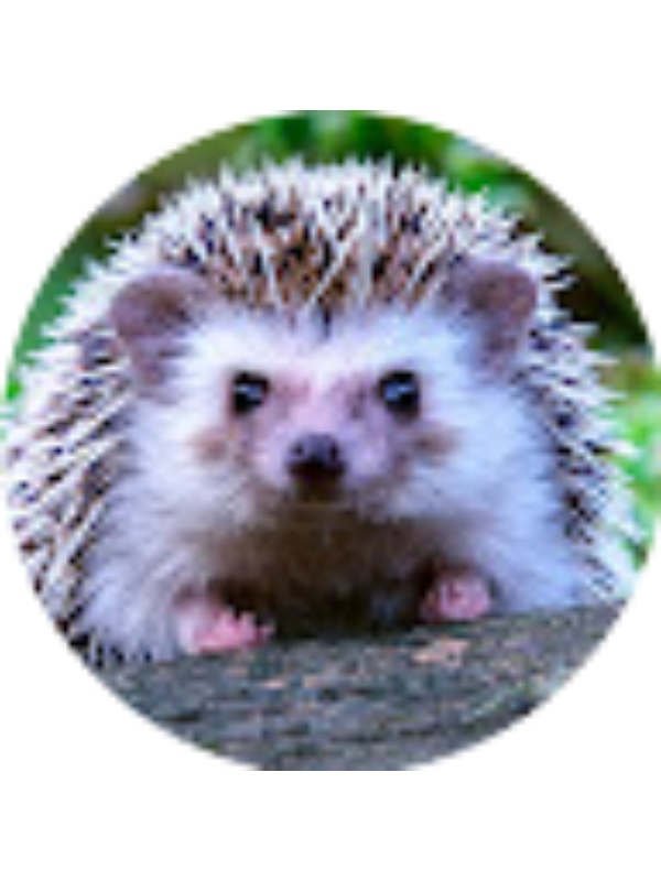 Photo of Naehaniel Lopez