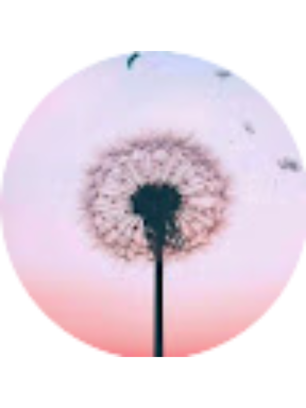 Photo of demirozrefia