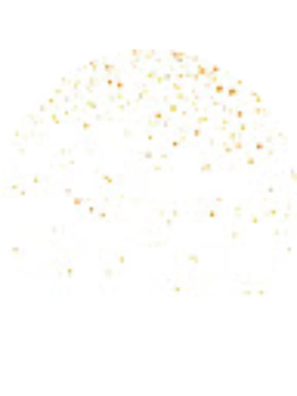 Photo of Samantha Feldman