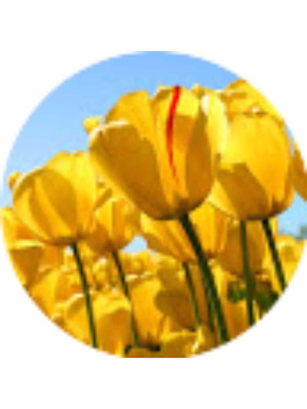 Photo of Irma Valencia