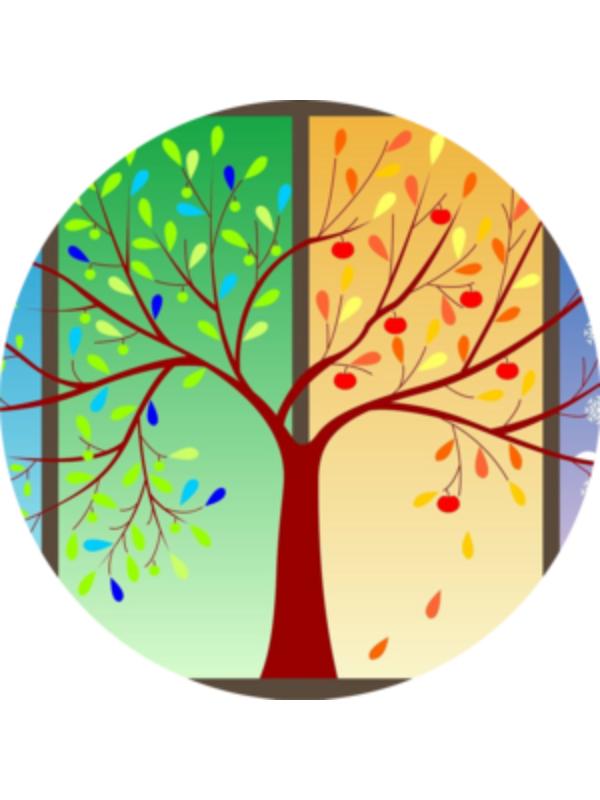 Photo of Marta Amor Villar