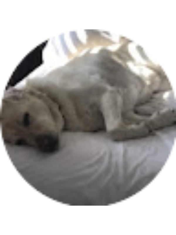 Photo of Mallory Mcbeth