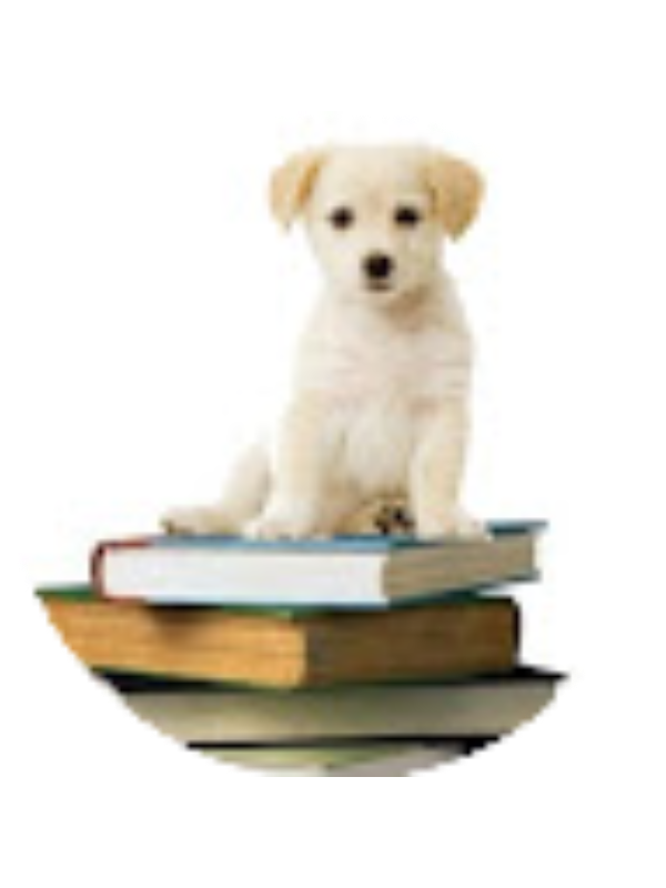 Photo of Drew Crow-Bray