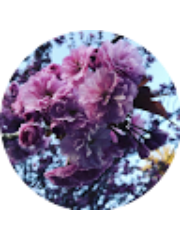 Photo of Olivia Graham