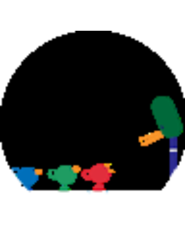 Photo of Zarish Rizwan