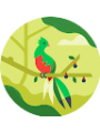 Picture of Z&uuml;mr&uuml;t 