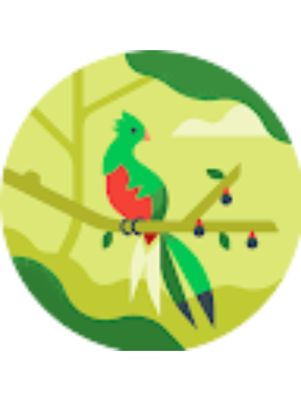 Photo of Z&uuml;mr&uuml;t 