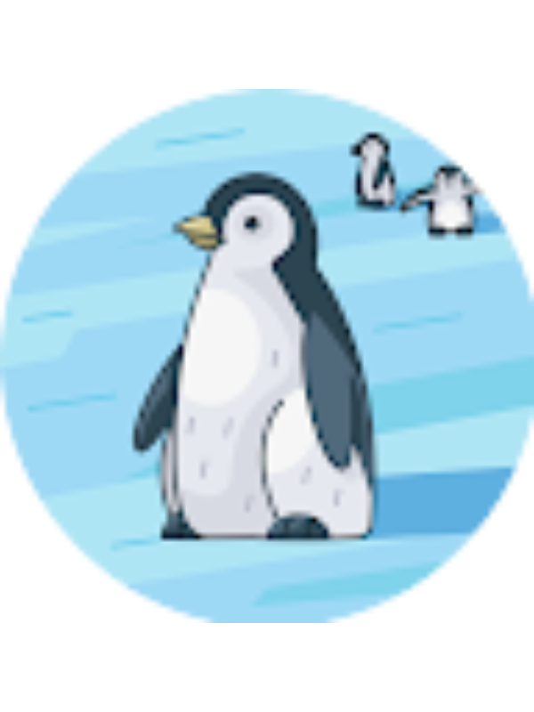 Photo of Сергей Рохлецов