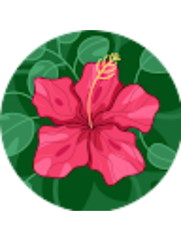 Photo of Samiksha Pandey