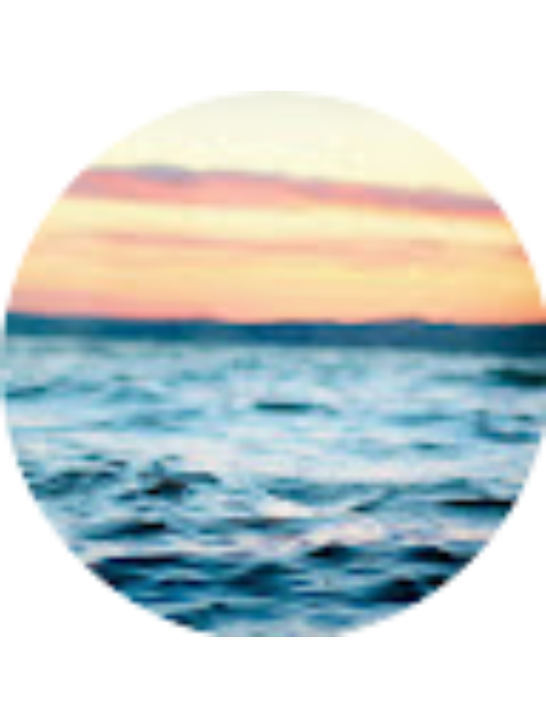 Photo of DANIELLE WINNER