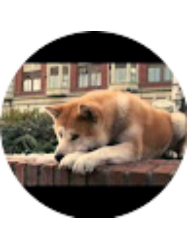 Photo of Pasquale Boccia